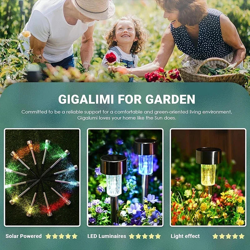 Outdoor Solar Lights Garden