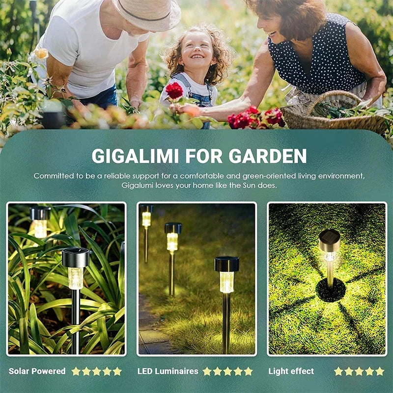 Outdoor Solar Lights Garden