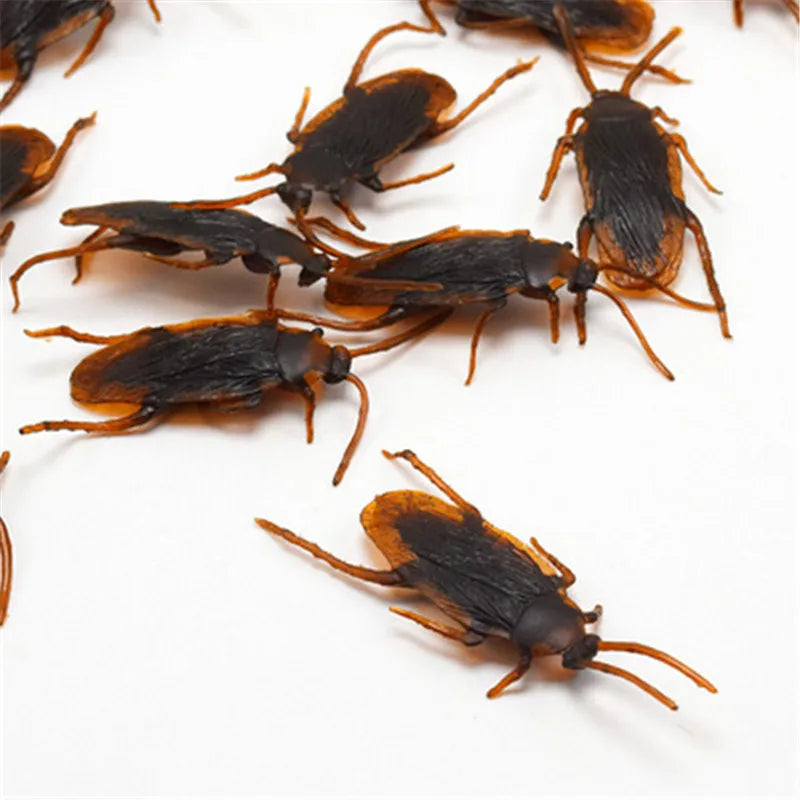 12pc Funny Fake Cockroach Halloween Party Decoration