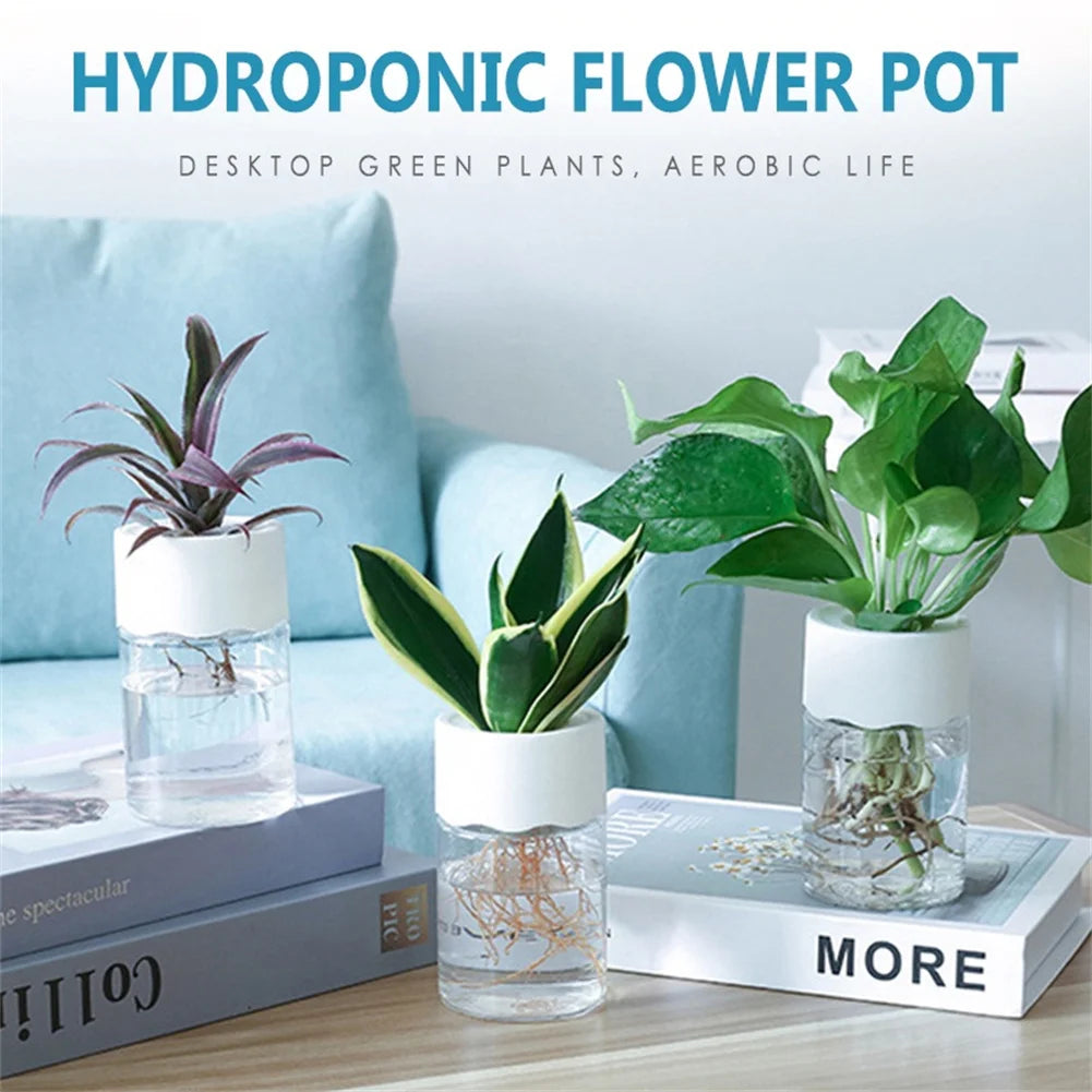 Hydroponic Pot Water Planting Vase Plastic